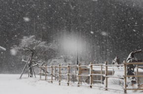 奈良県御杖村 丸山公園 雪