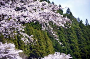 みつえ青少年旅行村【川遊び・キャンプ場】/奈良県御杖村