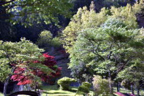 みつえ青少年旅行村【川遊び・キャンプ場】/奈良県御杖村