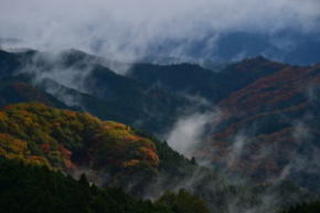 秘境 御杖村桃俣の紅葉