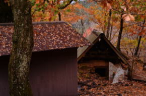 秘境 御杖村桃俣の紅葉