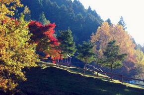 みつえ青少年旅行村【川遊び・キャンプ場】/奈良県御杖村