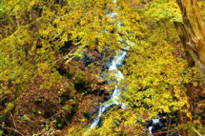 みつえ青少年旅行村【川遊び・キャンプ場】/奈良県御杖村