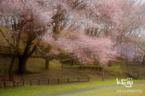 日本の風景 風景写真