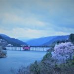 4月9日【2017】　三多気の桜から君ケ野ダム公園の桜へ／日本【三重県】の美を撮る