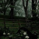 5月14日【2017】奈良県御杖村 丸山公園は霧に包まれ幻想世界