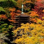 11月16日【2017】今が旬、日本の四季『紅葉』をあなたに／ 談山神社・北畠氏館跡庭園