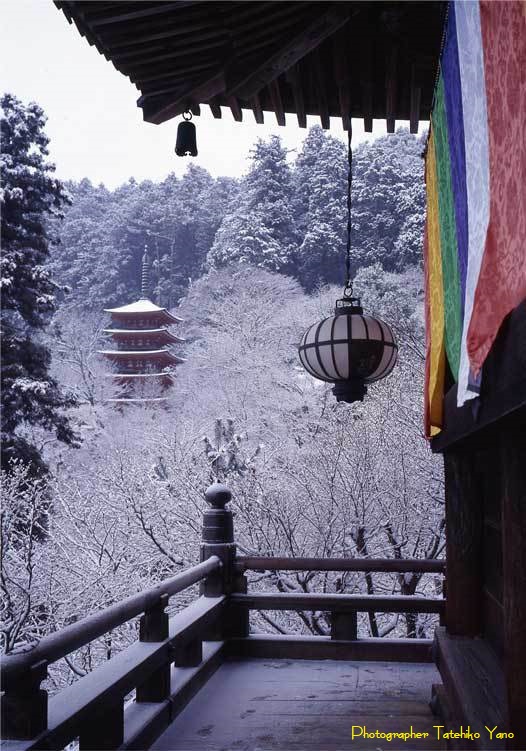 奈良の冬・厳寒の長谷寺 | 奈良県観光情報ナビ