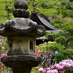 4月21日【2018】奈良の春 花便り『室生寺の石楠花 』他．．．
