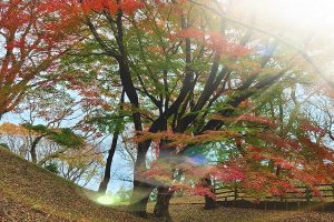 御杖村の秋・紅葉