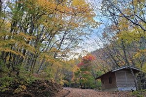 三峰山紅葉