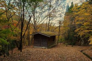 三峰山紅葉