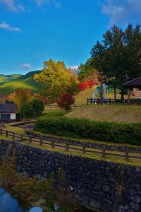 三峰山紅葉