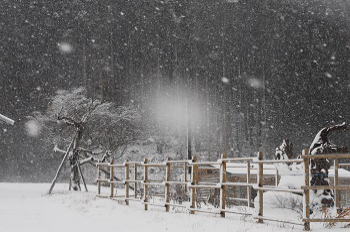 奈良県御杖村 雪化粧 