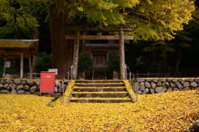 奈良県御杖村　春日神社の紅葉