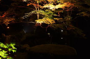 北畠氏館跡庭園の紅葉ライトアップ